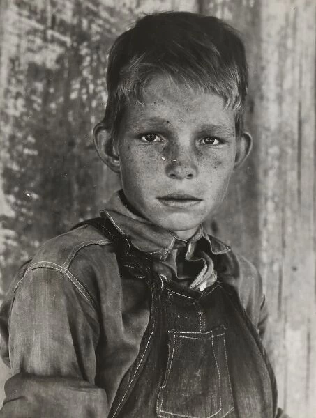 Twelve year old son of a cotton sharecropper near Cleveland