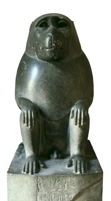 Framed Print : Yellow Baboon. ca. 341 BC. Made in granite for Framed Print : Yellow Baboon. ca. 341 BC. Made in granite for