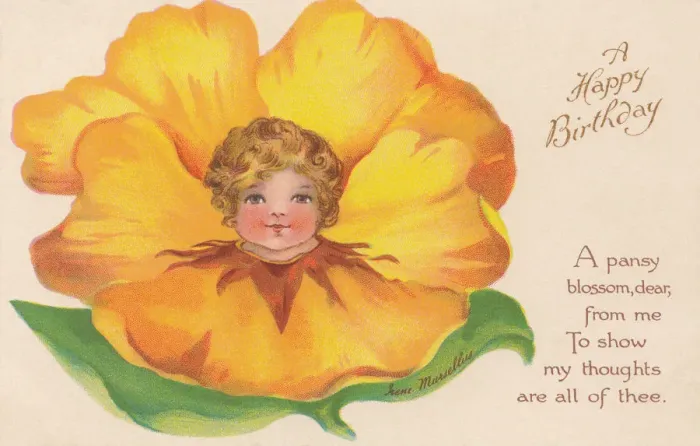 Framed Print : Yellow Flower Faces Framed Print : Yellow Flower Faces