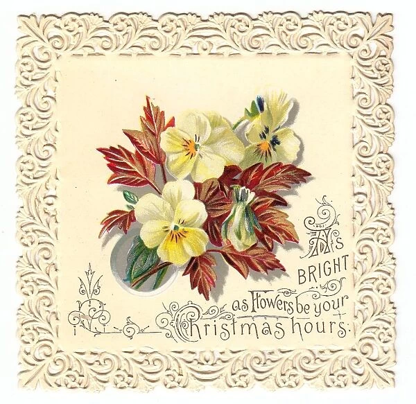Yellow pansies on a Christmas card