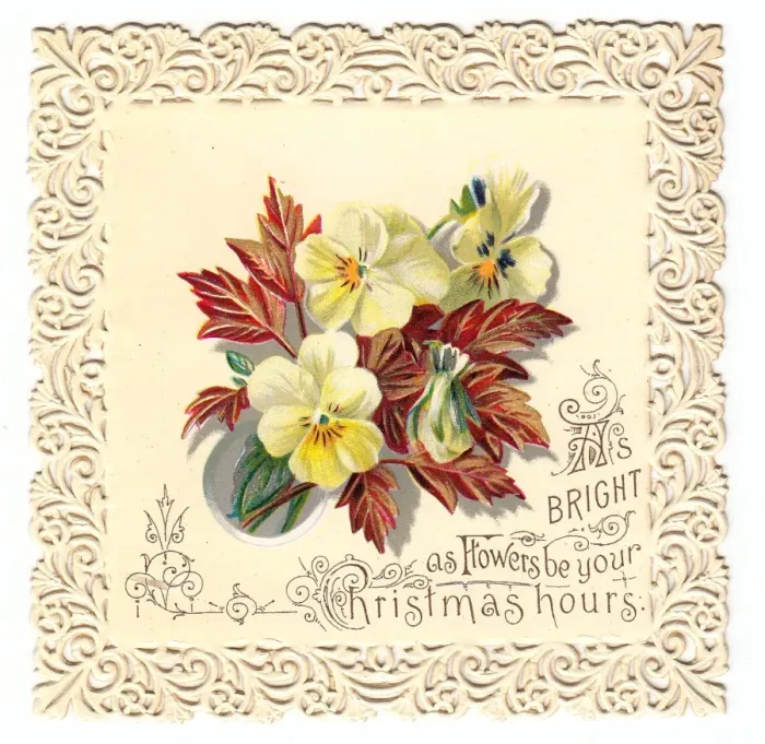 Framed Print : Yellow pansies on a Christmas card Framed Print : Yellow pansies on a Christmas card
