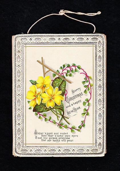 Yellow primroses on a Christmas and New Year card