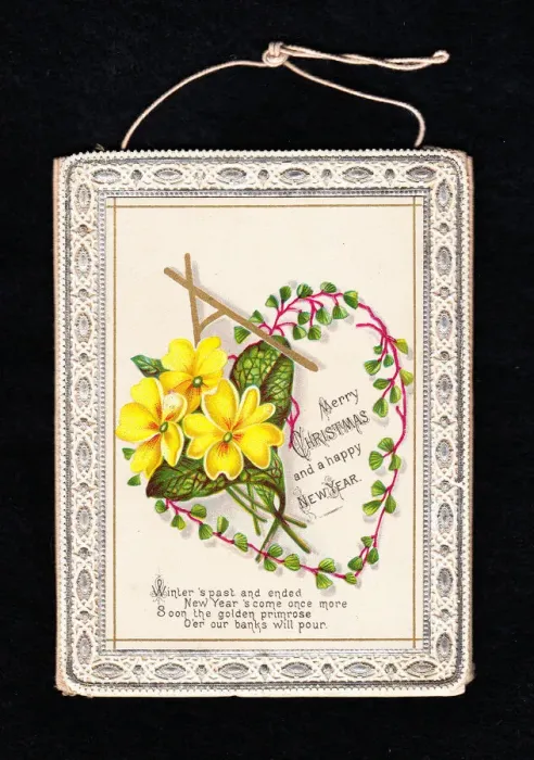 Framed Print : Yellow primroses on a Christmas and New Year card Framed Print : Yellow primroses on a Christmas and New Year card