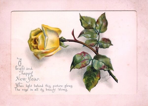 Yellow rose on a New Year card