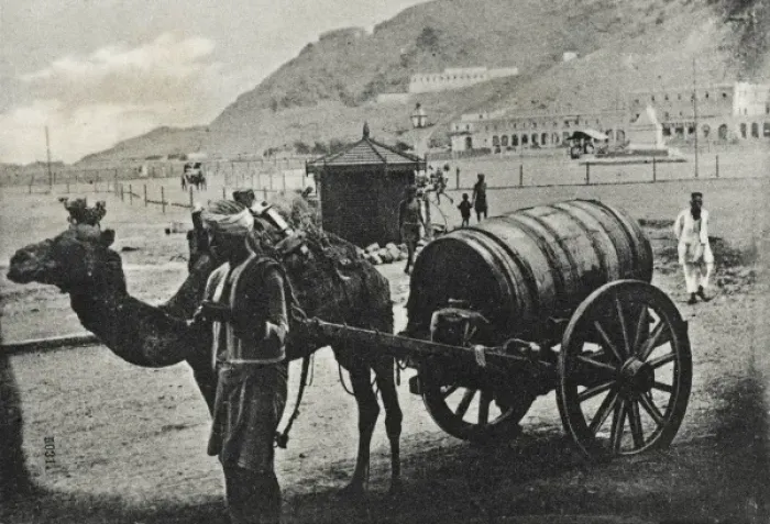 Framed Print : Yemen - Camel Water Cart at Aden Framed Print : Yemen - Camel Water Cart at Aden