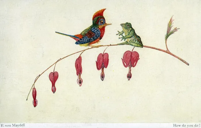 Framed Print : How do yo do? - a frog greets a rather startled bird Framed Print : How do yo do? - a frog greets a rather startled bird