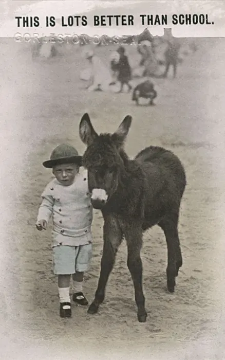 Framed Print : Young boy with a baby donkey on a British beach Framed Print : Young boy with a baby donkey on a British beach