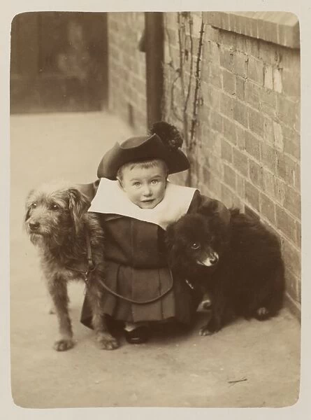 Young Boy and Two Dogs