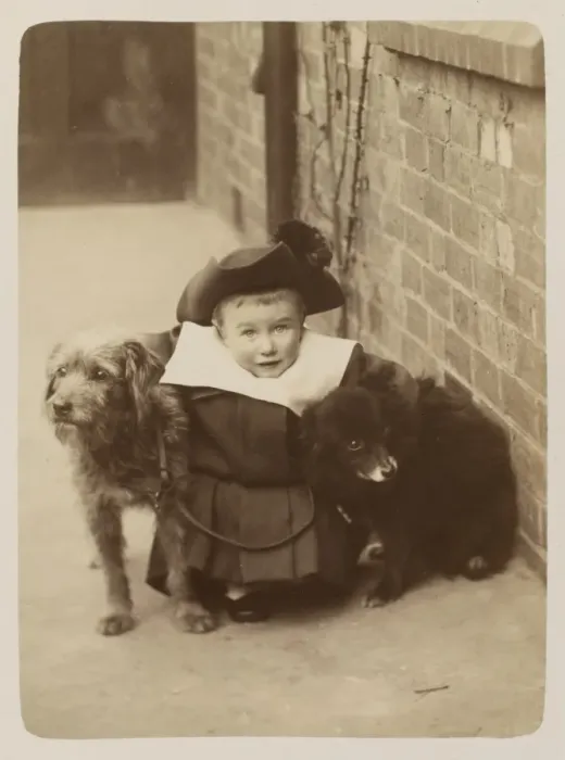 Framed Print : Young Boy and Two Dogs Framed Print : Young Boy and Two Dogs