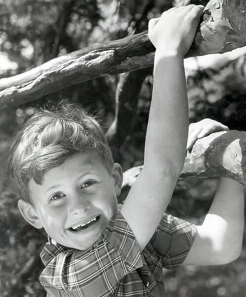 Young boy swinging on a tree branch - Sunbrite Margarine