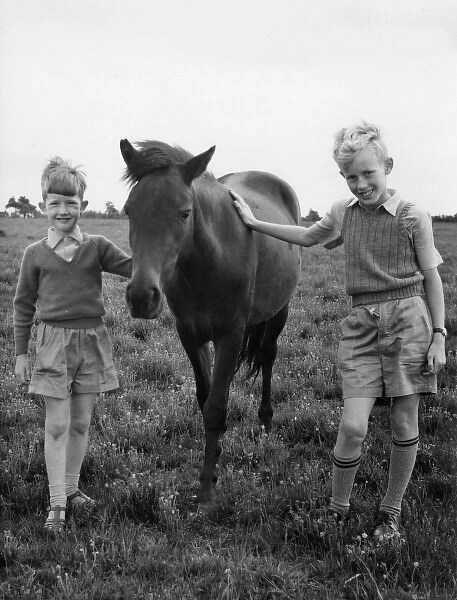 Young boys with a Moorland Pony