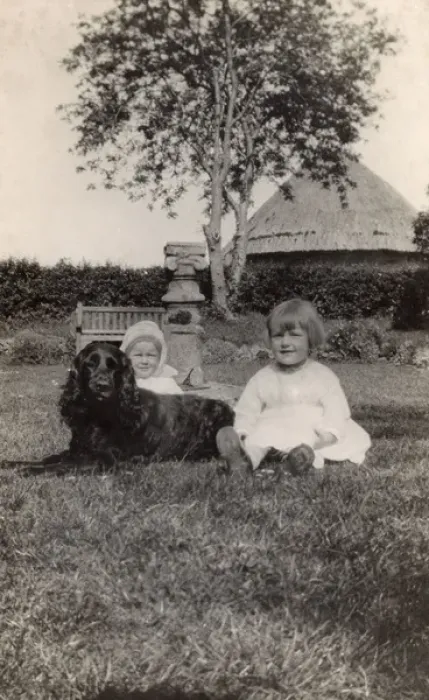 Framed Print : Two young children with a spaniel dog in a garden Framed Print : Two young children with a spaniel dog in a garden