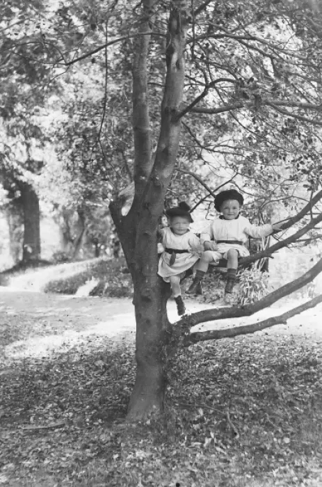 Framed Print : Young Children in a Tree Framed Print : Young Children in a Tree