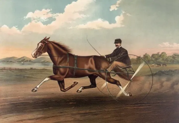 Framed Print : Young Fullerton, (3528): record 2: 20 3 / 4 Framed Print : Young Fullerton, (3528): record 2: 20 3 / 4