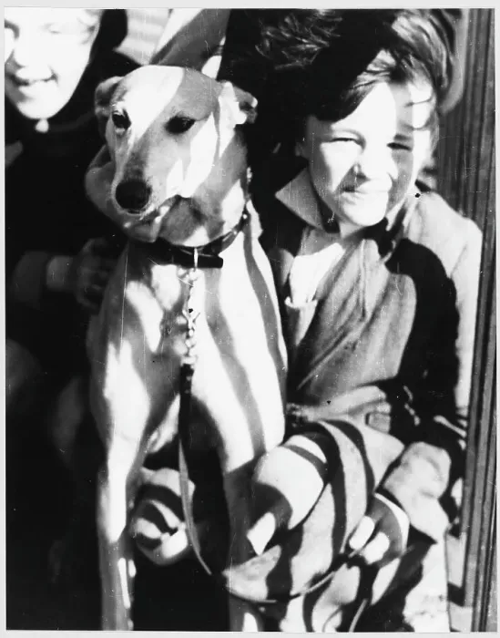 Framed Print : Young Girl and Greyhound Framed Print : Young Girl and Greyhound