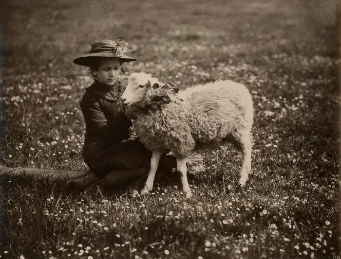 Framed Print : Young Girl with lamb Framed Print : Young Girl with lamb