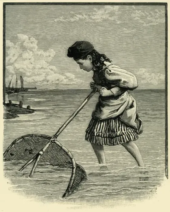 Framed Print : Young girl shrimping Framed Print : Young girl shrimping