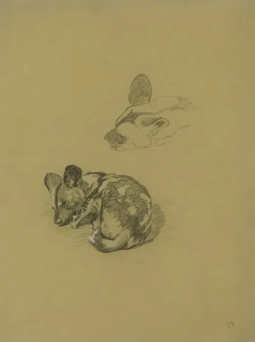 Framed Print : Young Hyena Framed Print : Young Hyena