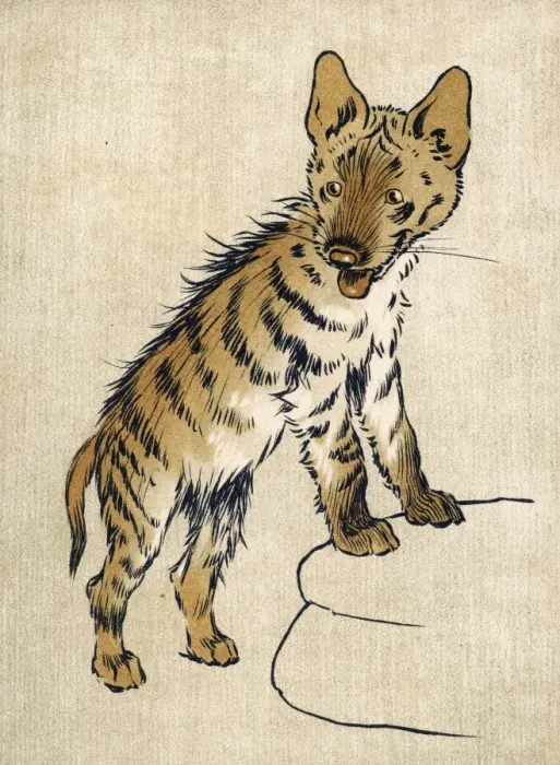 Framed Print : Young Hyena Aldin Framed Print : Young Hyena Aldin
