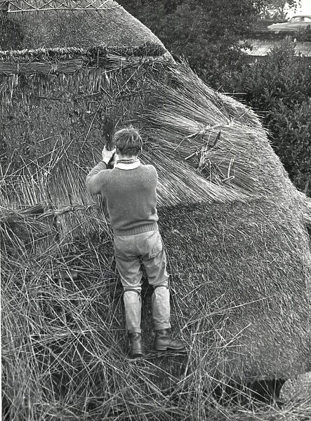 Young man thatching a roof, Lamorna Cove, Cornwall