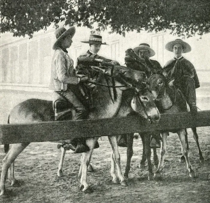 Framed Print : Four young men on mules, Chile, South America Framed Print : Four young men on mules, Chile, South America