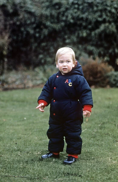 A young Prince William