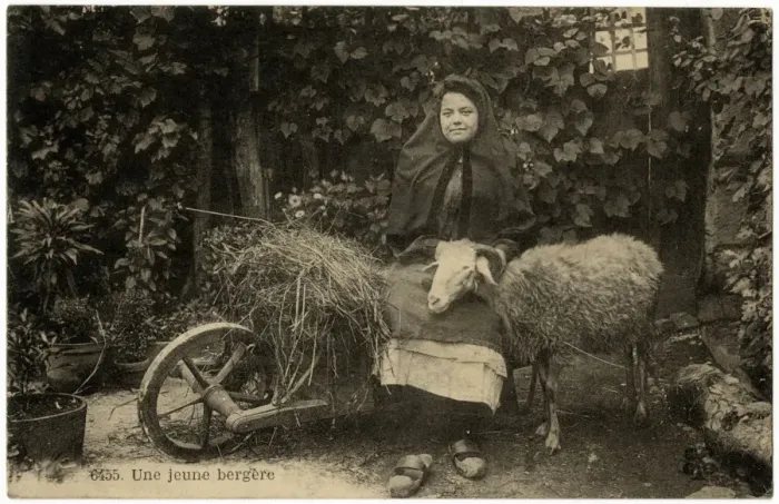 Framed Print : A Young Shepherdess of the Pyrenees, France Framed Print : A Young Shepherdess of the Pyrenees, France