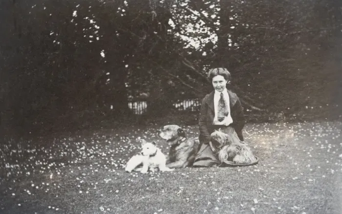 Framed Print : Young woman and three dogs in a garden Framed Print : Young woman and three dogs in a garden