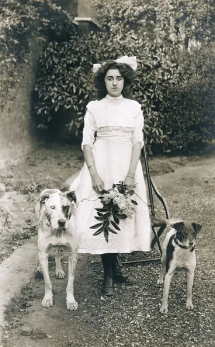 Framed Print : Young woman with two dogs in a garden Framed Print : Young woman with two dogs in a garden