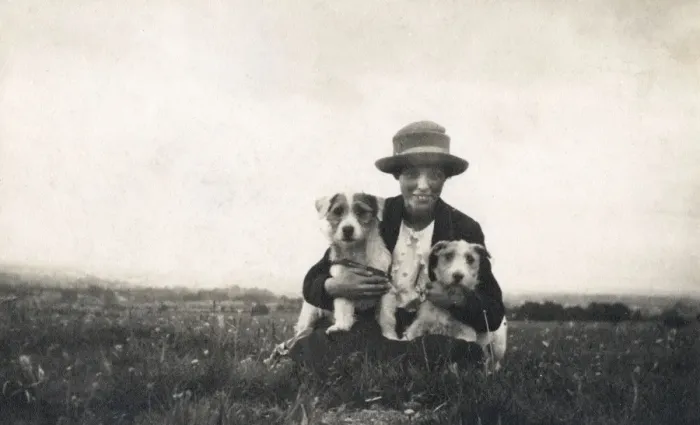 Framed Print : Young woman in a field with two terrier dogs Framed Print : Young woman in a field with two terrier dogs