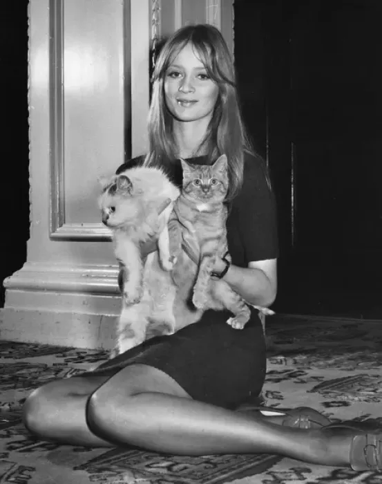Framed Print : Young woman holding two cats Framed Print : Young woman holding two cats
