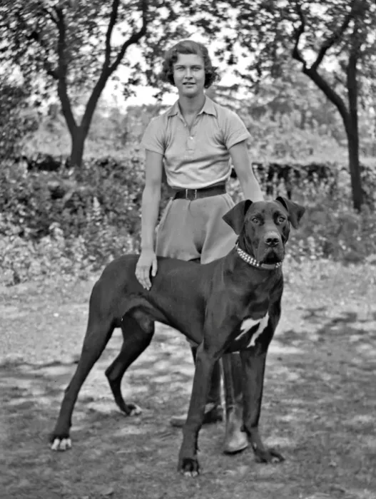 Framed Print : Young woman with large dog in a garden Framed Print : Young woman with large dog in a garden