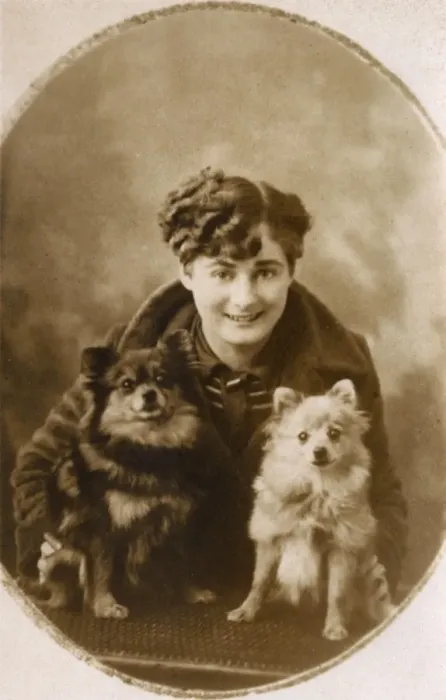 Framed Print : Young woman with little Pomeranians Framed Print : Young woman with little Pomeranians