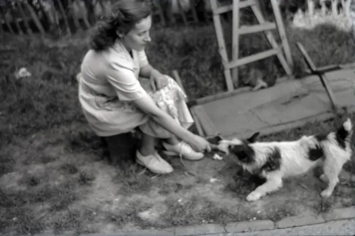 Framed Print : A young woman playing with her small pet terrier dog Framed Print : A young woman playing with her small pet terrier dog