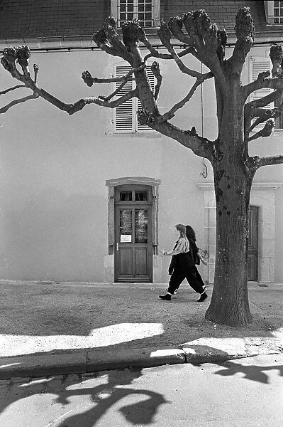 Two young women walk beneath a pollarded tree in Auxerre sur