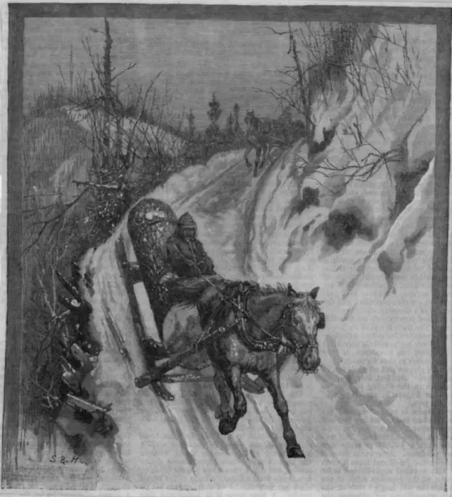 : Yule Log, Sweden : Yule Log, Sweden