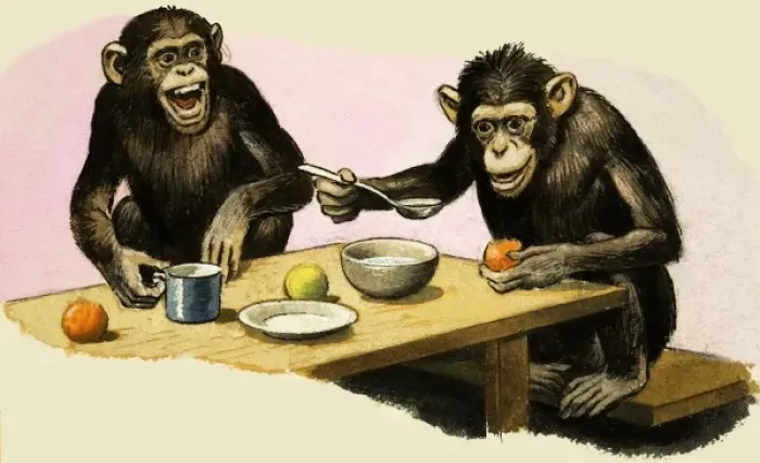 Framed Print : Z for Zoo. Chimpanzees tea-party Framed Print : Z for Zoo. Chimpanzees tea-party