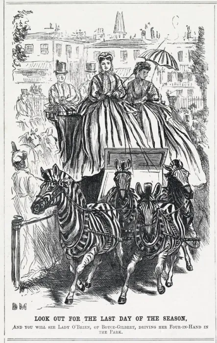 Framed Print : ZEBRA PULL FOUR-IN-HAND Framed Print : ZEBRA PULL FOUR-IN-HAND