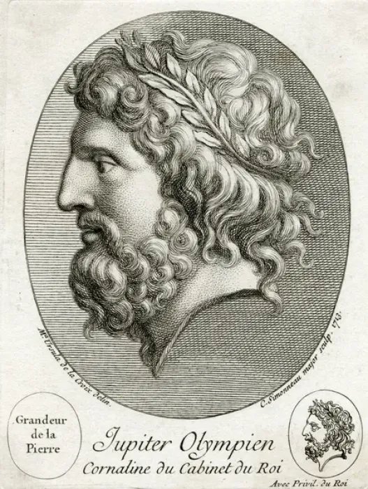 Framed Print : Zeus Framed Print : Zeus