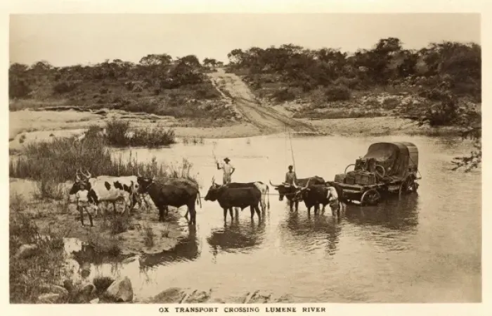 Framed Print : Zimbabwe, Africa - Ox Wagon crossing Lumene River Framed Print : Zimbabwe, Africa - Ox Wagon crossing Lumene River