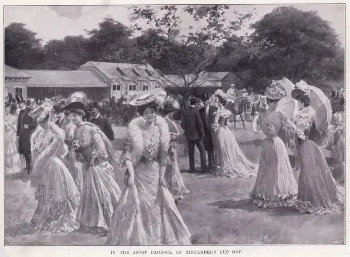 Framed Print : Zinfandels Cup Day, Ascot Framed Print : Zinfandels Cup Day, Ascot