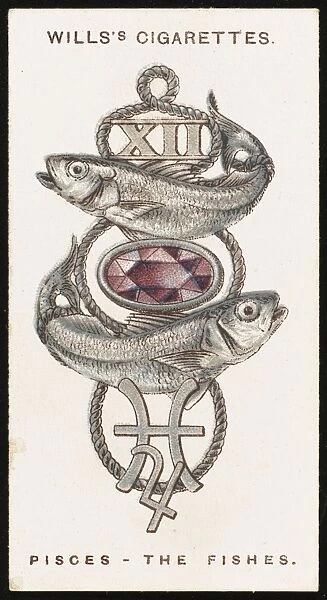 Zodiac Charms Pisces