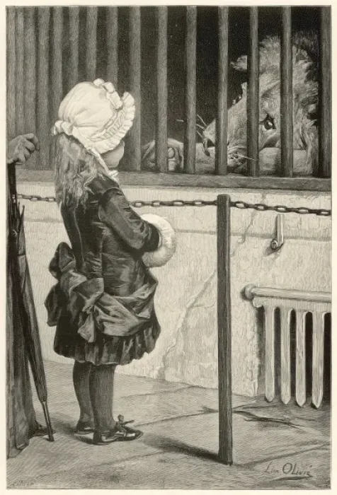 Framed Print : At the zoo Framed Print : At the zoo