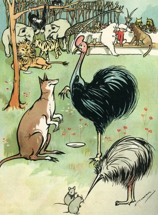 Framed Print : Zoo animals Framed Print : Zoo animals