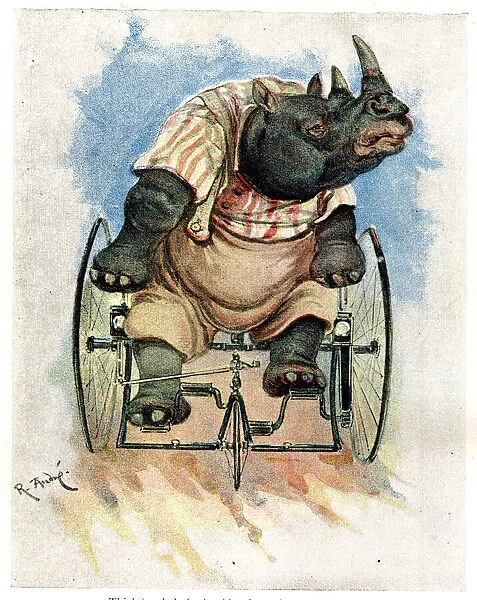 Zoo Animals Up To Date on Cycles, Rhinoceros on Velocipede