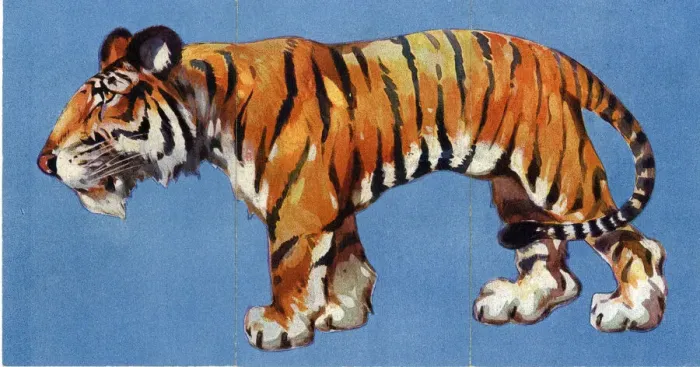Framed Print : Zoo Misfitz card game - tiger Framed Print : Zoo Misfitz card game - tiger