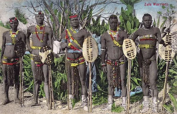 Zulu Warriors - Southern Africa