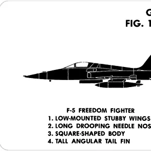 18 F-5 Freedom Fighter