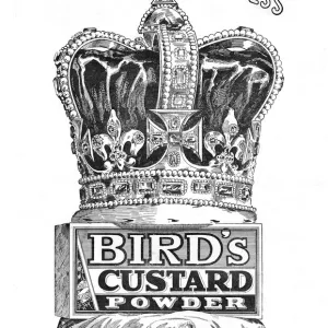 1902 Coronation Birds Custard Powder advertisement