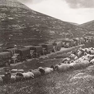 1943 - supply convoy close to Syria, Turkey border